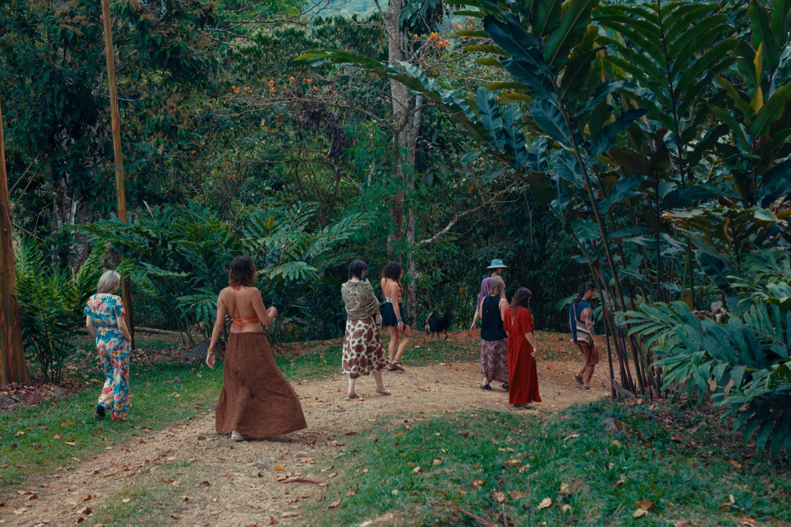 Metamorfinca retreat center, permaculture farm and mountain stay near Uvita, Costa Rica — view 15