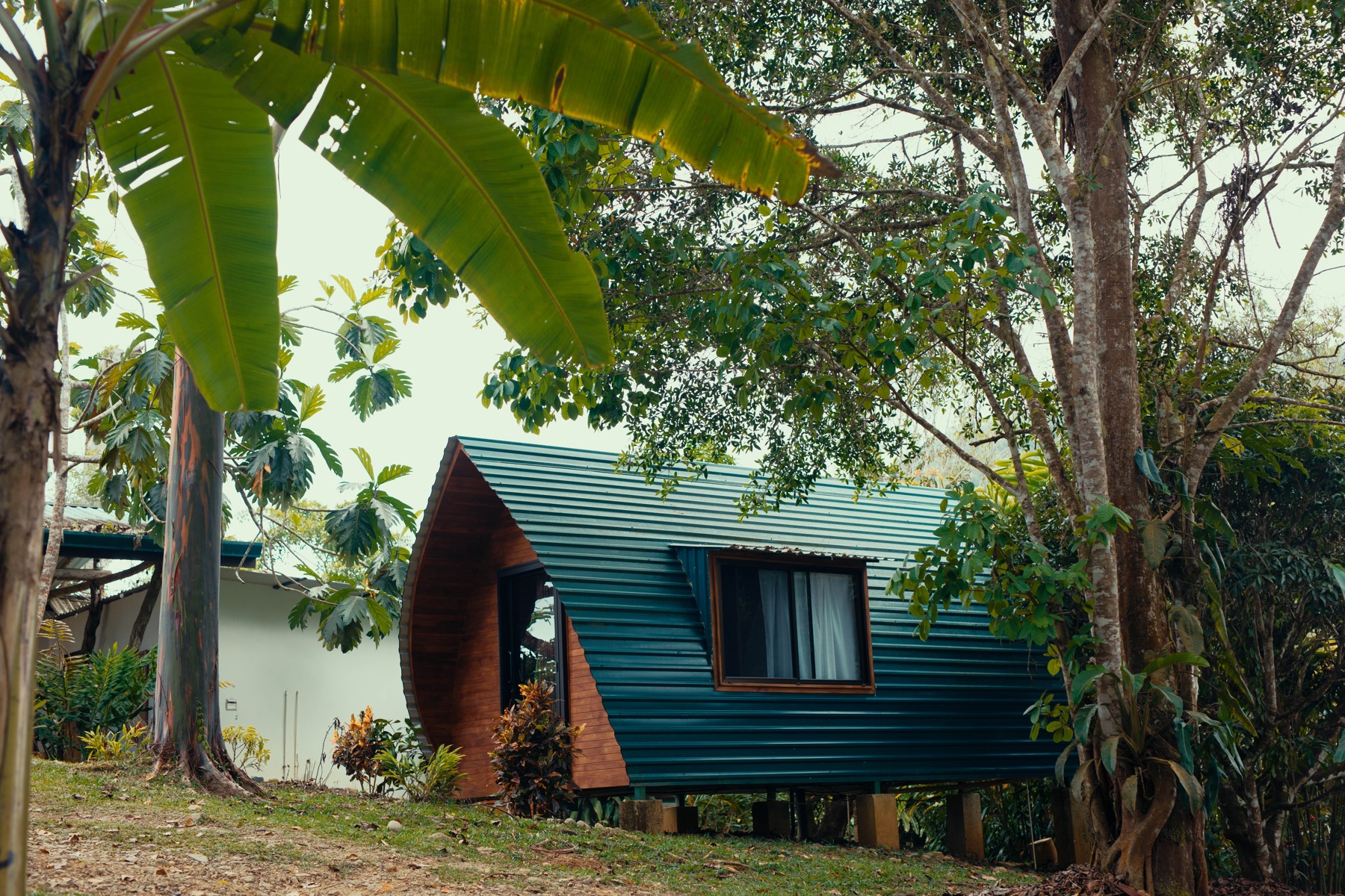 Metamorfinca retreat center, permaculture farm and mountain stay near Uvita, Costa Rica — view 13
