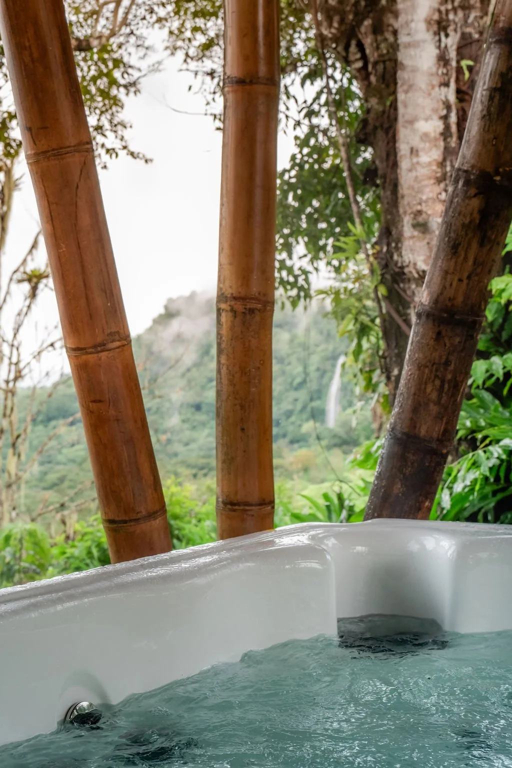 Metamorfinca retreat center, permaculture farm and mountain stay near Uvita, Costa Rica — view 5