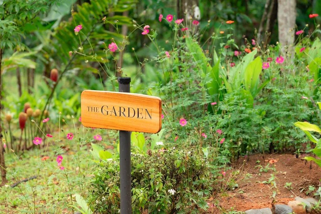 Metamorfinca retreat center, permaculture farm and mountain stay near Uvita, Costa Rica — view 10