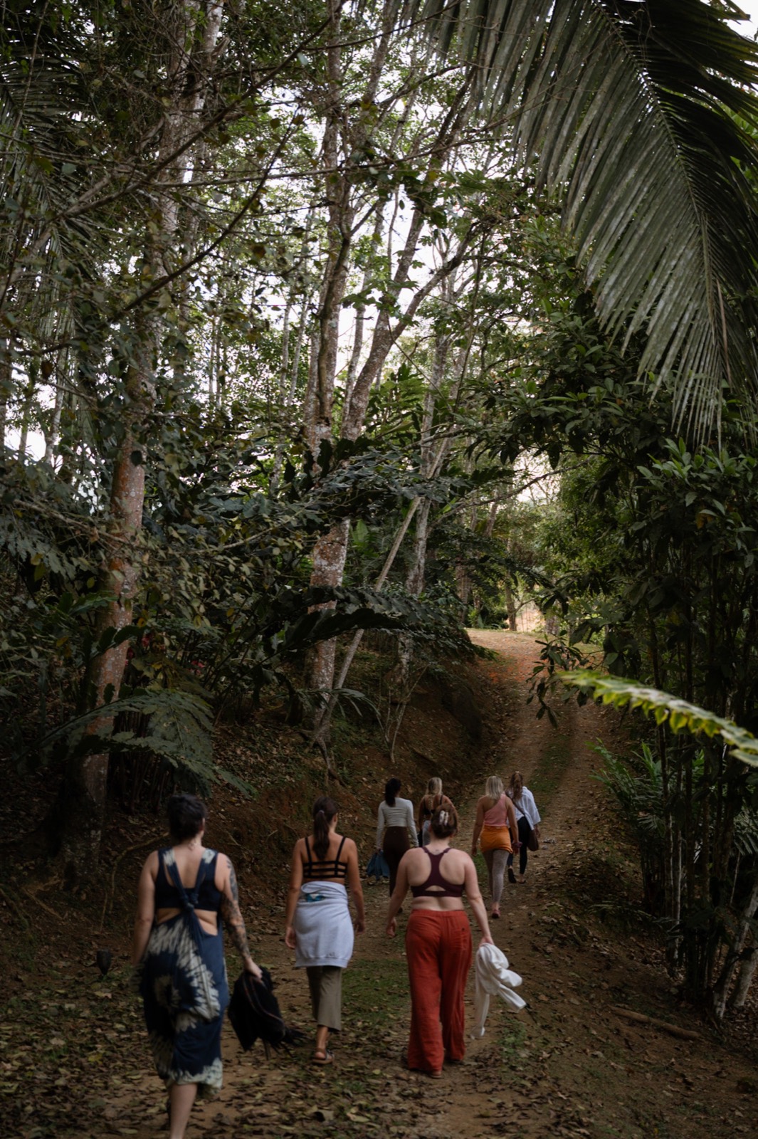 Wellness retreat, ceremony or group gathering at Metamorfinca retreat center in Costa Rica — view 42