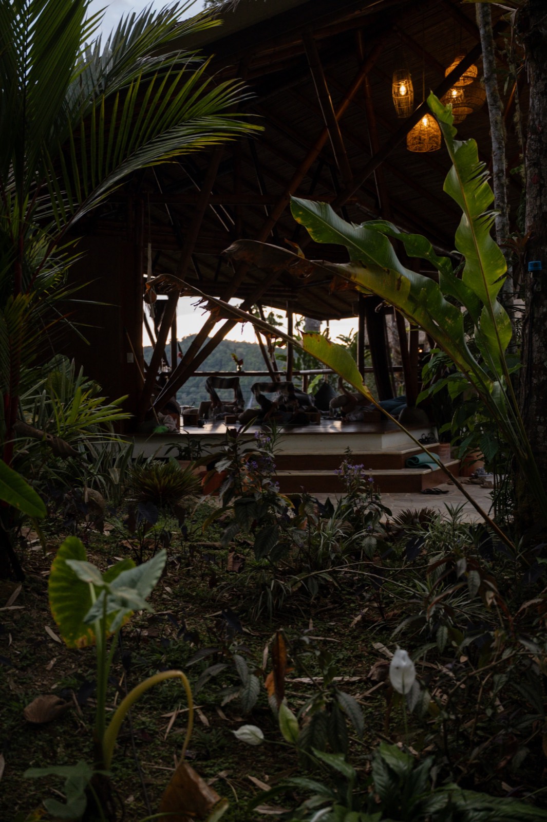 Wellness retreat, ceremony or group gathering at Metamorfinca retreat center in Costa Rica — view 64