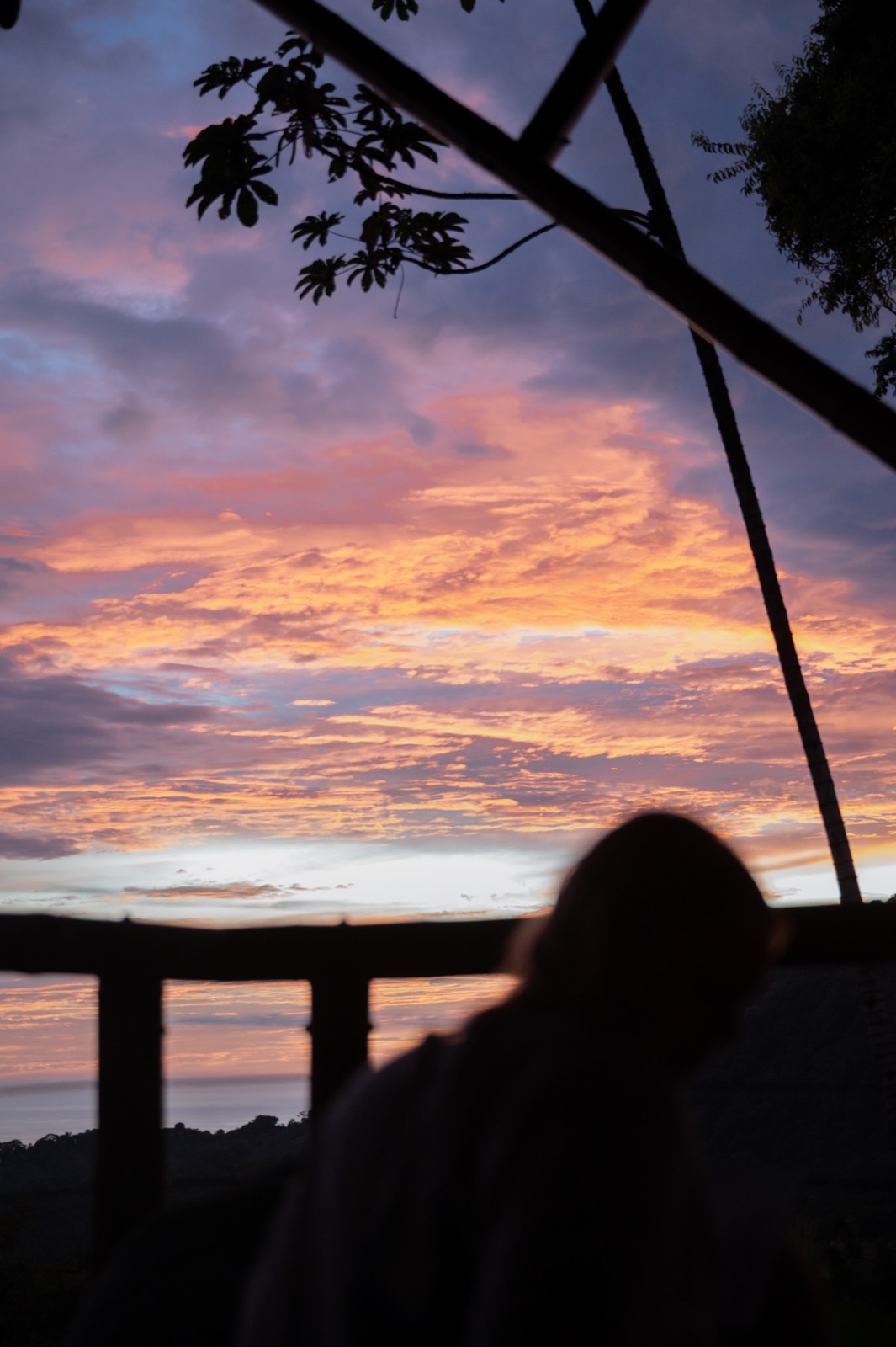 Wellness retreat, ceremony or group gathering at Metamorfinca retreat center in Costa Rica — view 65