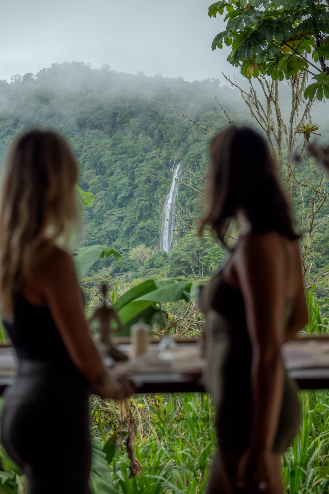 Wellness retreat, ceremony or group gathering at Metamorfinca retreat center in Costa Rica — view 74